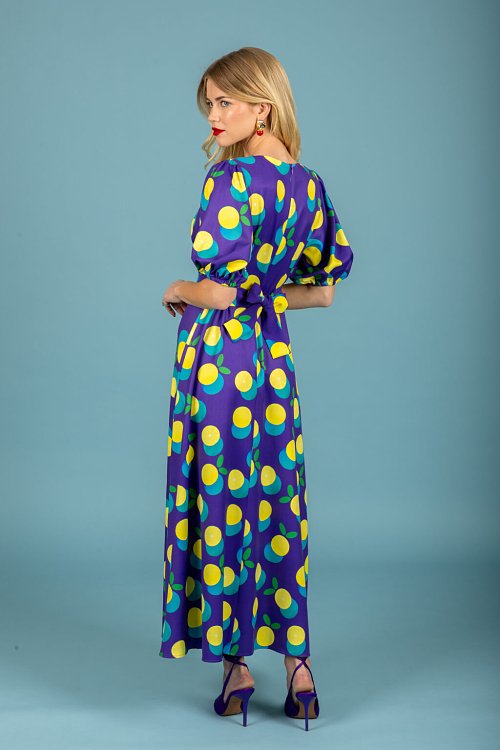 Diego sleeve dress