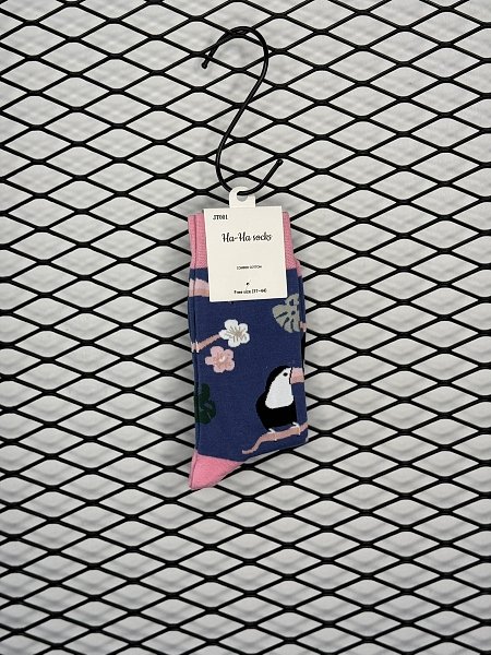 Parrot Socks