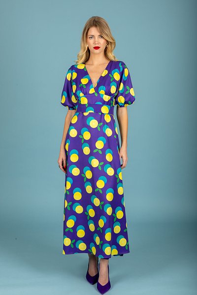 Diego sleeve dress