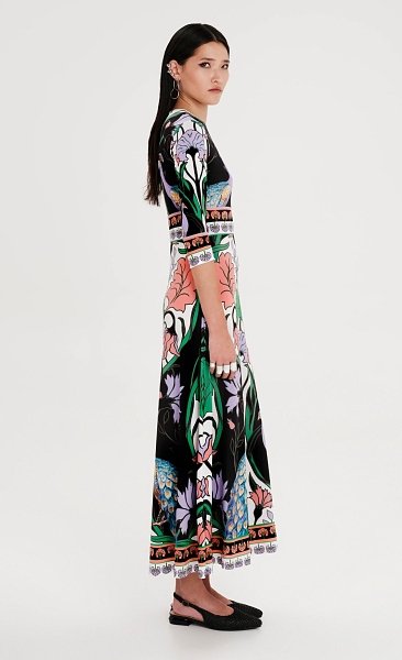 Nostalgia Maxi Dress