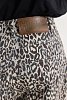 Salem Pants Leopard